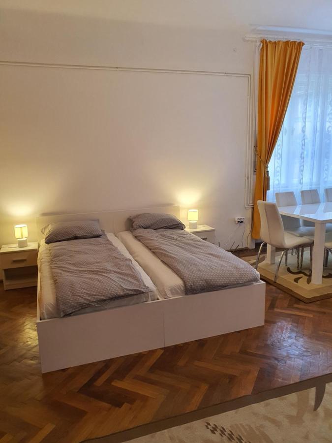 Apartament Enescu Timişoara Buitenkant foto
